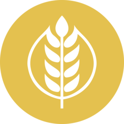 GRAIN